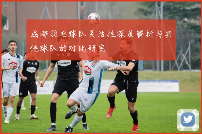 成都羽毛球队灵活性深度解析与其他球队的对比研究