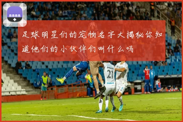 足球明星们的宠物名字大揭秘你知道他们的小伙伴们叫什么吗