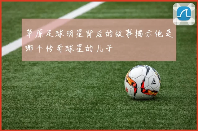 草原足球明星背后的故事揭示他是哪个传奇球星的儿子
