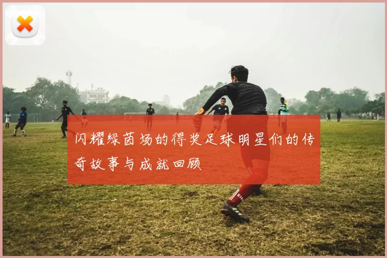 闪耀绿茵场的得奖足球明星们的传奇故事与成就回顾