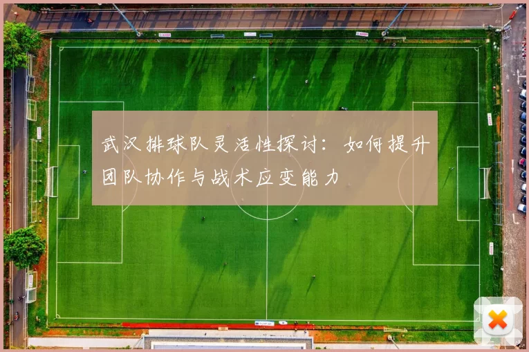 武汉排球队灵活性探讨：如何提升团队协作与战术应变能力