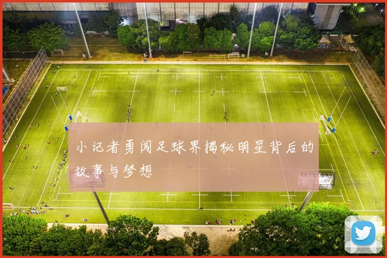 小记者勇闯足球界揭秘明星背后的故事与梦想