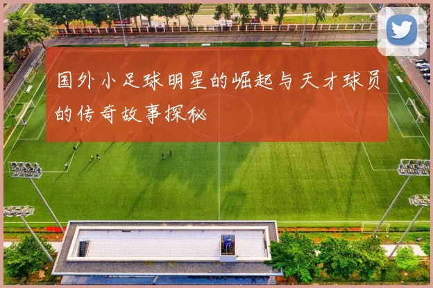 国外小足球明星的崛起与天才球员的传奇故事探秘