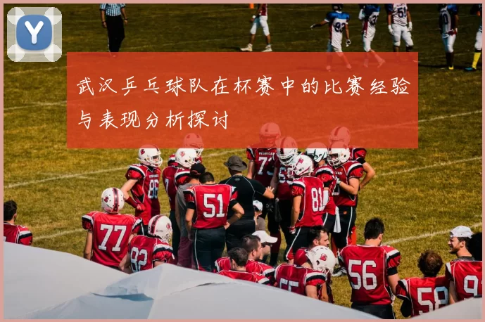 武汉乒乓球队在杯赛中的比赛经验与表现分析探讨