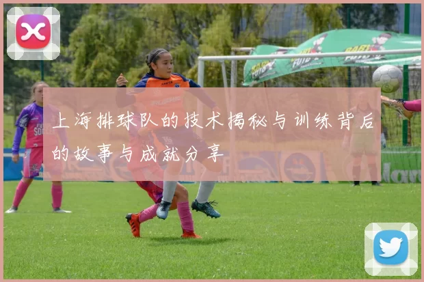 上海排球队的技术揭秘与训练背后的故事与成就分享