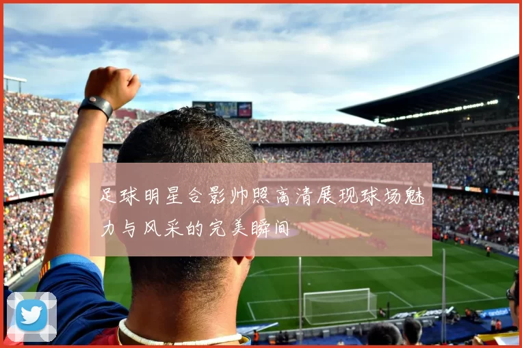 足球明星合影帅照高清展现球场魅力与风采的完美瞬间