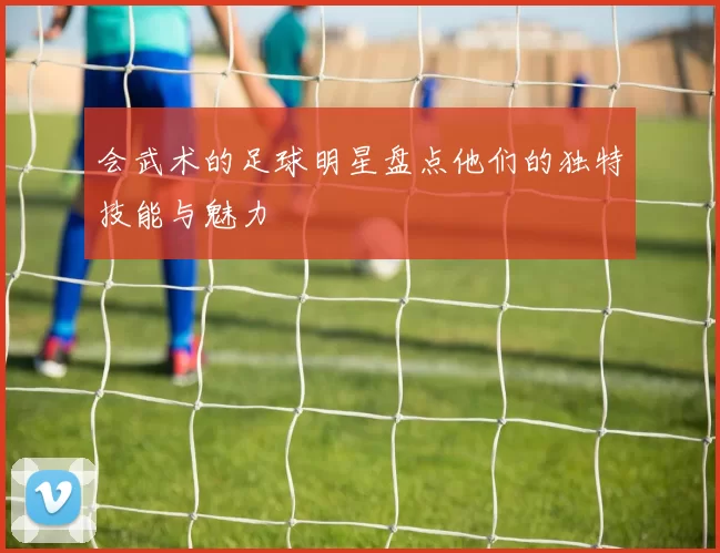会武术的足球明星盘点他们的独特技能与魅力